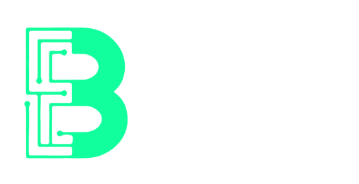 Bitz Digital